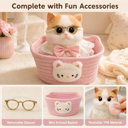 Big Taba Squishy Cat - Jumbo Kawaii Stress Relief Toy( Caramel Ragdoll )
