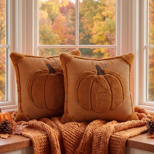Fall Throw Pillow Covers 16x16 Set of 2 Rust Orange Pumpkin Plush Covers