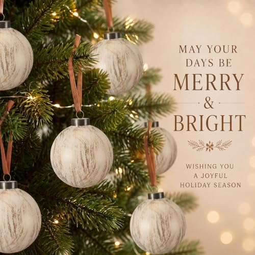 Yunlly 12 Pcs Neutral Christmas Ball Ornament, Rustic White, 3.15''