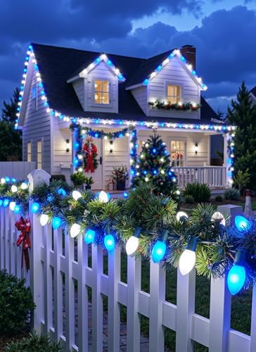 Minetom 50Ft Christmas Lights Outdoor, 50 LED Matte Bulbs, Blue|Pure White