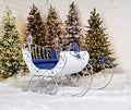 Zaer Ltd. Life-Size Christmas Outdoor Victorian Santa Sleigh, Commercial Christmas Decoration