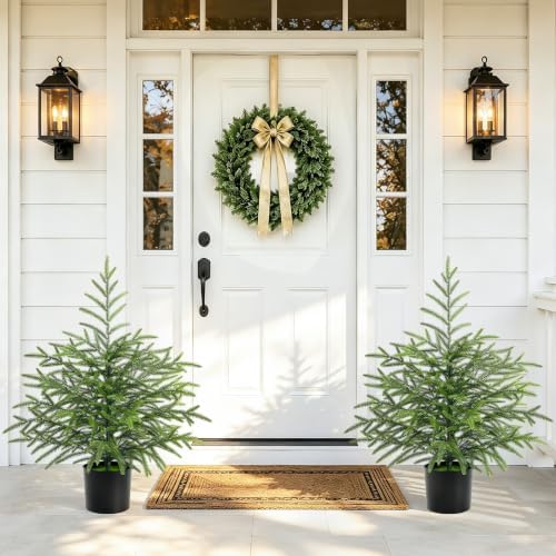 2 Ft Real Touch Christmas Tree with Lights, Realistic Norfolk Pine Tree