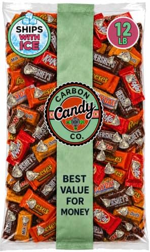 Halloween Chocolate Candy Variety Pack Assorted Pinata Mini Bars Bulk 12 lb
