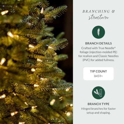 Balsam Hill BH Balsam Fir Full Tree - Realistic Artificial Christmas Tree with Premium Stand & Easy Assembly for Indoor Holiday Decorating, LED Clear, 9ft