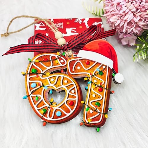 67 Ornament, 6 7 Christmas Ornaments 2026, Funny Ornament for Kids, 67 Gift