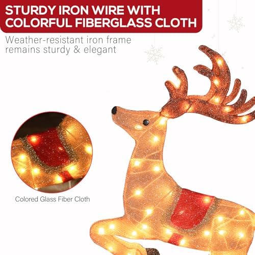 Hykolity 2.5D Santa Sleigh Ride Iron Outdoor Christmas Decoration, 170 Warm White LEDs with UL Transformer, Stained-Glass Fabric Figures Yard Decor