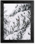 Framed Winter Pine Canvas Wall Art, Snow Landscape, Black Frame Inch 12x16