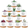 12 Pcs Inspirational Succulent Pots Thank You Employees Gifts Bulk