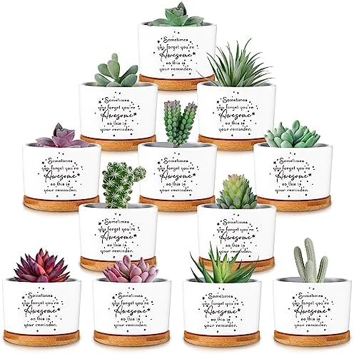 12 Pcs Inspirational Succulent Pots Thank You Employees Gifts Bulk