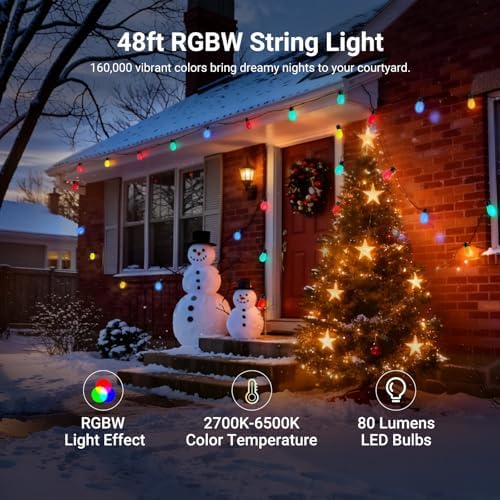 NEEWER 48ft Outdoor String Lights, App Control Smart AI RGBW Hanging, NR01