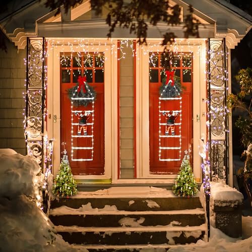 Toodour LED Christmas Light - 2.5FT Christmas Decorative Ladder Lights with Santa Claus, Xmas Decorations Light for Indoor Outdoor, Window, Garden, Home, Wall, Xmas Tree Decor - White