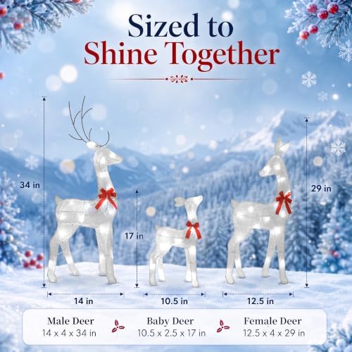 34IN 3-Piece 2.5D Lighted Christmas Deer Family Outdoor Decorations, White Pre-Lit Reindeer Set with 45 Lights, Stakes and Zip Ties for Yard Lawn Porch Garden Patio Holiday Party Decor