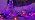 WATERGLIDE 1000 LED Halloween String Lights, 328 FT Green Wire LED Decorative Fairy Lights with Remote & 8 Modes, Waterproof for Outdoor Xmas Holiday Party Garden Wedding Home Decor, Orange & Purple