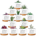 12 Pcs Difference Maker Gifts Succulent Pots Bulk for Employee