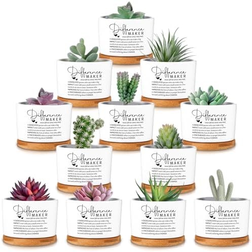 12 Pcs Difference Maker Gifts Succulent Pots Bulk for Employee