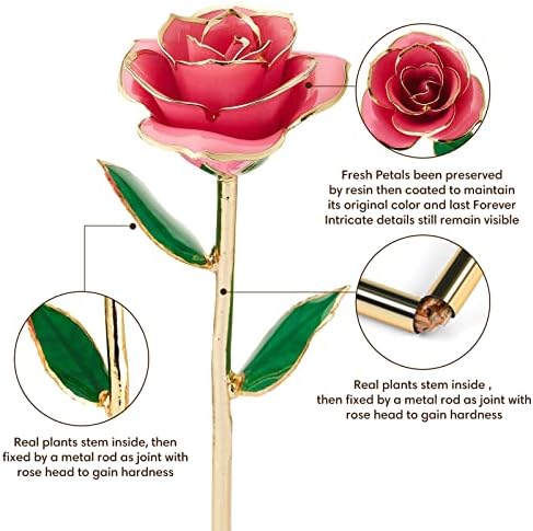 Anthonic Gold Dipped Infinity Rose Last Forever Flower Decor, Birthday Gift for Women in Her Birthday Valentines Day Mothers Day, Resin Preserved Rose | Anniversary Present for Mom (Pink)