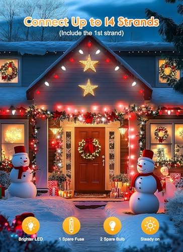 C9 Christmas Lights Outdoor, 100Ft 50 LED Red & Pure White String Lights