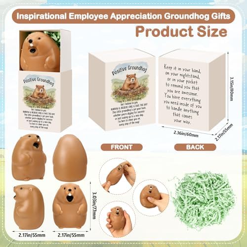 12 Sets Positive Gifts Groundhog Figurine with Support Boxes