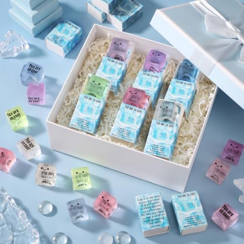 12 Sets Ice Cube Inspirational Gifts You are So Cool Party Favors
