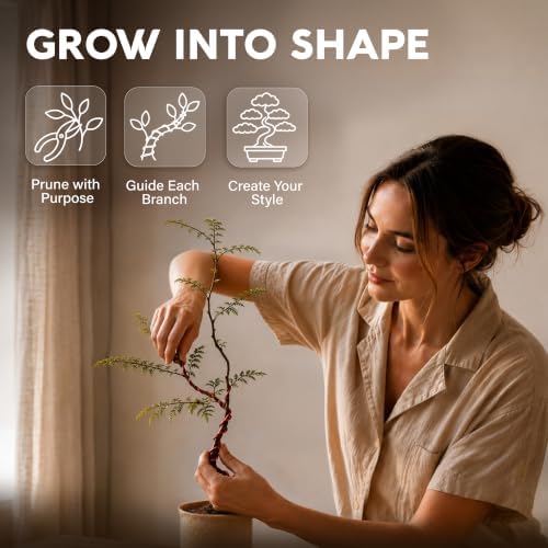 Bonsai Tree Kit Deluxe - Growing 5 Unique Japanese Bonzai Trees