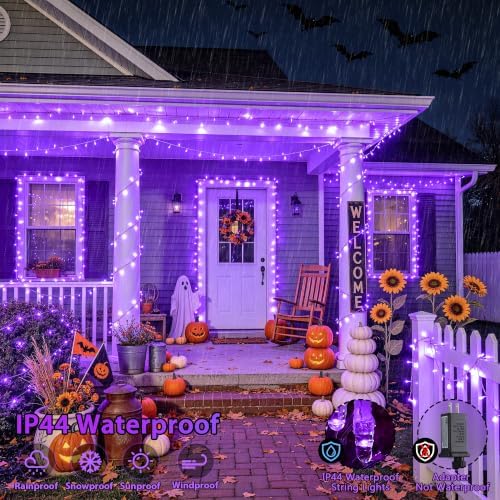 JMEXSUSS 600 LED Purple Christmas Lights Indoor Outdoor Halloween Lights