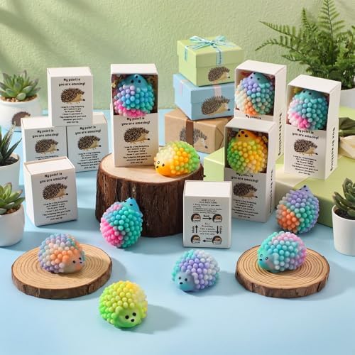 24 Sets Hedgehog Gifts with Support Boxes
