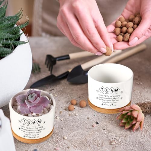 12 Pcs Team Appreciation Gifts for Employees Succulent Pots