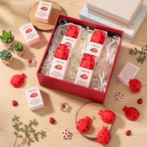 24 Sets Positive Luck Gifts Ladybug Party Favors with Boxes