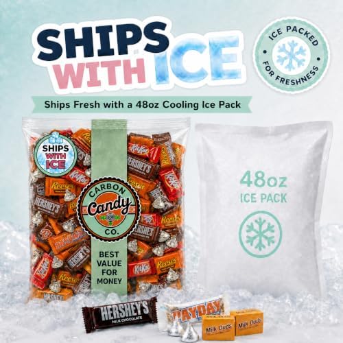 Halloween Chocolate Candy Variety Pack Assorted Pinata Mini Bars Bulk 20 lb