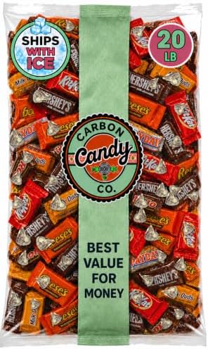 Halloween Chocolate Candy Variety Pack Assorted Pinata Mini Bars Bulk 20 lb
