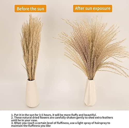 65PCS Pampas Grass Decor, Including pompas Floral, Reed Dried Grass and Bunny Tails Dried Flowers, Natural Dried Pampas Grass Bouquet for Boho Decor Wedding, Home Decoration