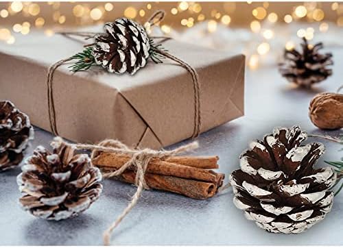 24 PCS Pine Cones for Christmas Tree Snowflake Natural Pinecones Ornament with String Pendant Crafts for Xmas Party Home Decor Fall Winter Holiday Christmas Tree Decoration (24)