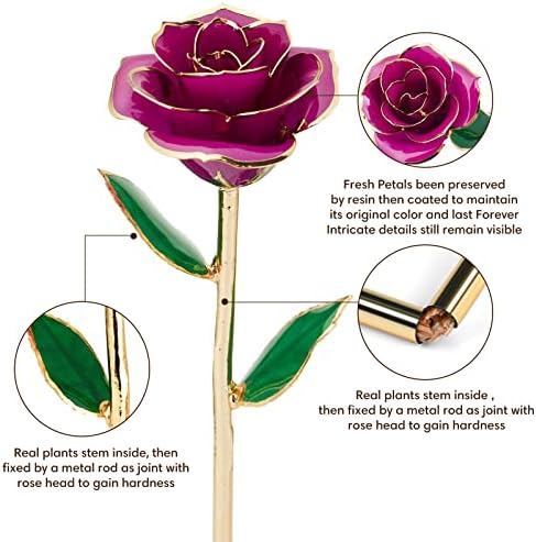 Anthonic Gold Dipped Infinity Rose Last Forever Flower Decor, Birthday Gift for Women in Her Birthday Valentines Day Mothers Day, Resin Preserved Rose | Anniversary Present for Mom (Purple)