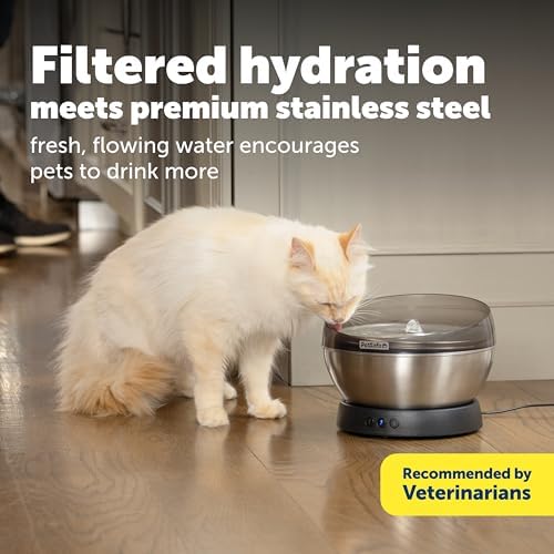 PetSafe HydroSphere 60 oz Stainless Steel Pet Fountain - Filtered Water Fountain for Cats and Small Dogs - Dishwasher Safe - Quiet, Wire-Free Pump - Easy to Clean