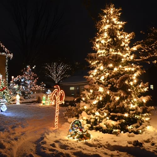 ASENEK 99FT 300 LED Christmas String Lights End-to-End Plug 8 Modes Indoor Lights with Timer, Outdoor Indoor Fairy Lights Christmas Tree Patio Garden Holiday Warm White