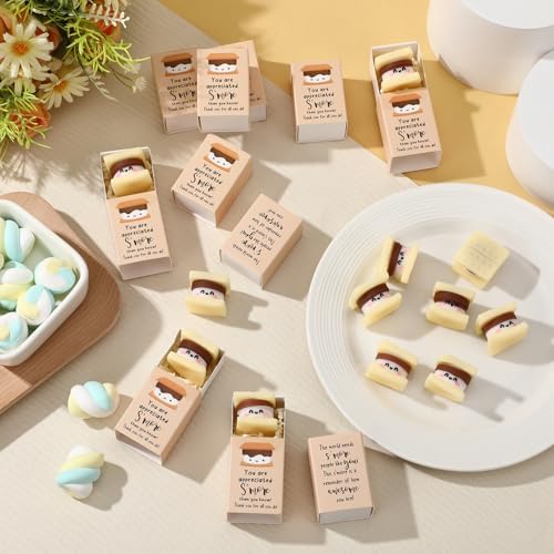 18 Sets Appreciation S'More Gifts for Employee Coworker Staff