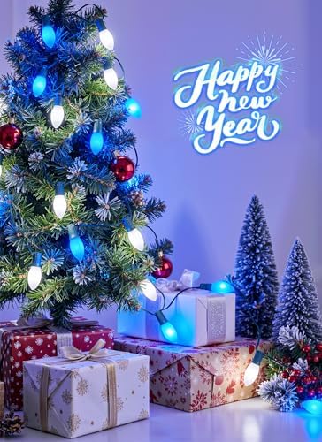 Minetom 50Ft Christmas Lights Outdoor, 50 LED Matte Bulbs, Blue|Pure White