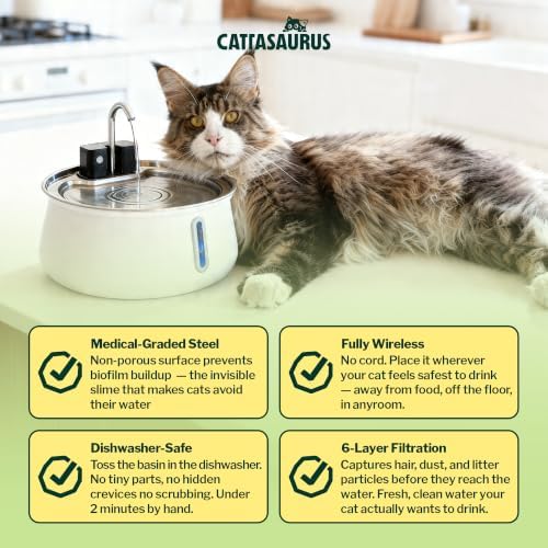 Cattasaurus Wireless 304 Stainless Steel Cat Water Fountain with Filtration, Automatic Water Dispenser for Cats, 135oz Large Capacity, Dishwasher Safe (White, Fountain + 14 Filters (3-Month Supply))