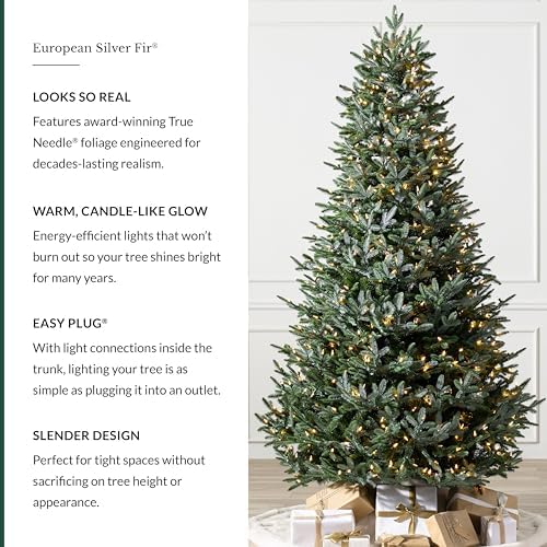 Balsam Hill European Silver Fir - Elegant Artificial Christmas Tree with True Needle Foliage Available Unlit or with LED Clear Lights, LED Clear, 7'