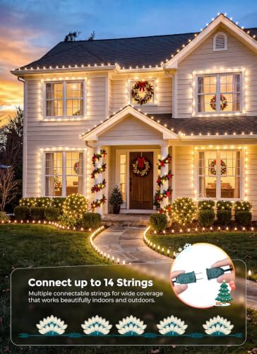 Brightown Christmas Lights Outdoor, 50Ft 50 LED Vintage C9 String Lights