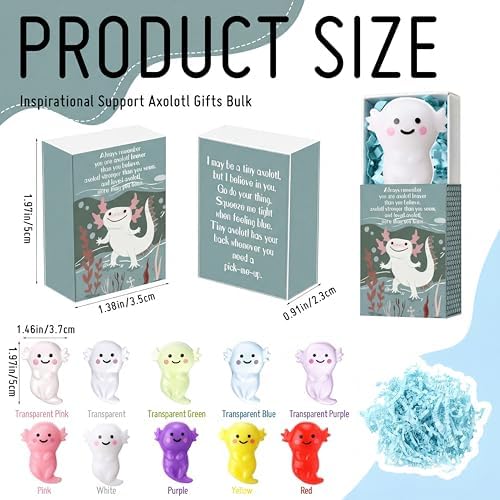 60 Sets Positive Gifts Axolotl Party Favors with Support Boxes
