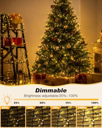 Iseebiz 100Ft 2000 LED Cluster Christmas Tree Lights with Remote & Timer