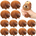 Meooeck 12 Pcs Hedgehog Fidgets Balls for Adults Hedgehog Party Favors