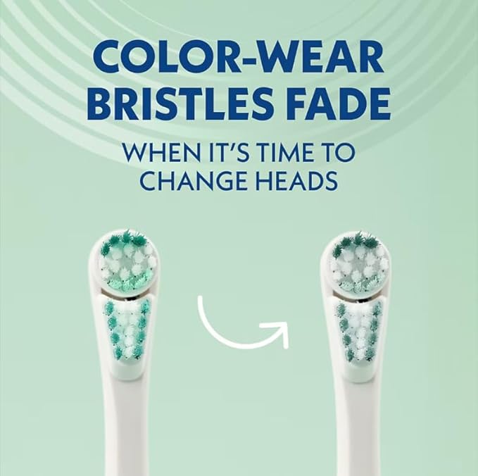Spinbrush Pro Whiten Battery Powered Electric Toothbrush Bundle, (2) Toothbrushes + (4) Replacement Heads, Whiter Teeth in 1 Week, Dual Action Whitening Cup & Soft Bristles, ADA Accepted, Family Pack