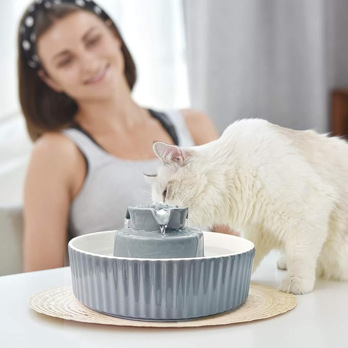 Pet Drinking Fountain: Cepheus 2.1L/71oz Cat Fountain-Automatic Water Fountain for Cats and Dogs with with Ultra-Quiet Pump(Grey)