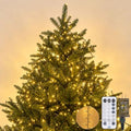 Iseebiz 100Ft 2000 LED Cluster Christmas Tree Lights with Remote & Timer