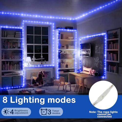 KNONEW 164FT 1000LED Rope Lights for Outside,Outdoor String Lights Waterproof 8 Modes Clear Tube Light for Indoor,Bedroom,Wedding,Garden,Patio,Christmas,Tree,Rv,Holiday Decoration(Blue)