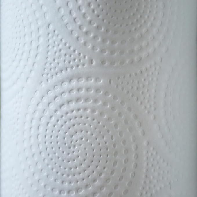 Genuine Joe-GJO24080 2-Ply Household Roll Paper Towels (Pack of 30) - WHITE