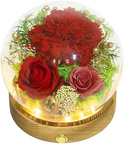Long-Lasting Real Flowers - Unique Floral Gift For You To Send Love
