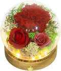 Long-Lasting Real Flowers - Unique Floral Gift For You To Send Love